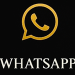 WHATSAPP -CONTACT-VIZZNARY